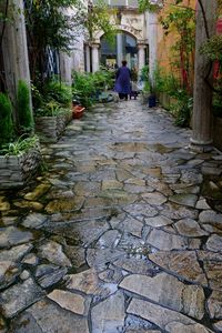 小径を散歩するマダム