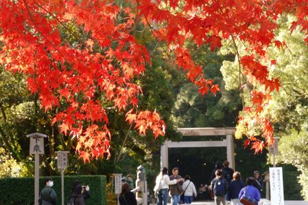 伊勢神宮（外宮）