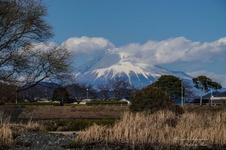 安倍川からの富士山