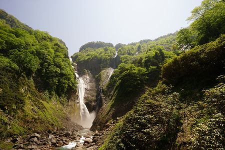 称名滝・ハンノキ滝