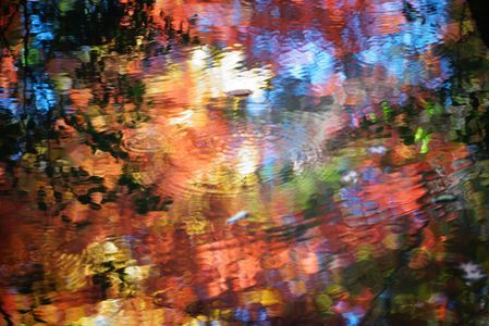 東京都根津美術館庭園の水面