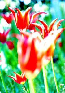 一寸、吐出！！