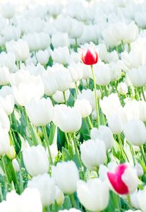 一寸、間違えました！！