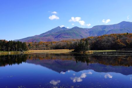 晩秋の知床への旅「知床五湖編」