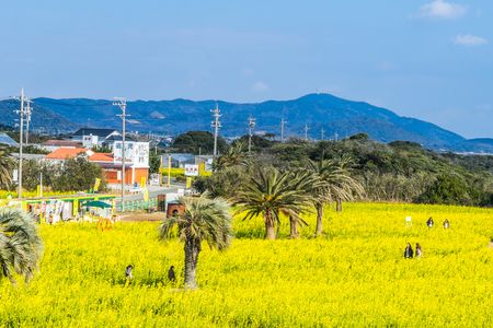 早春の彩り