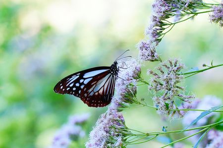 heaven isn't too far away....