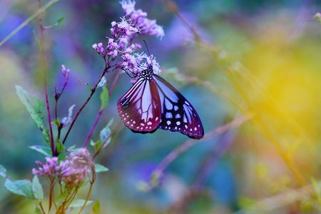 I see your true colors....