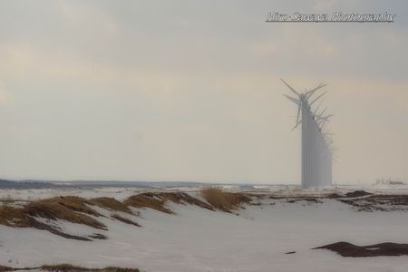 ある日のサロベツ