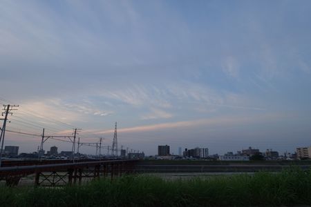 とある堤防の風景