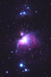 M42