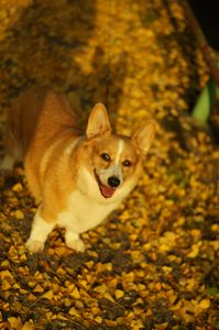 今日も１日　楽しかったね