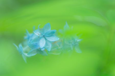 雨あがり