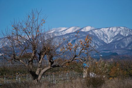 地元の秋冬コーデ