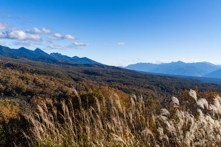 展望・秋の蓼科高原