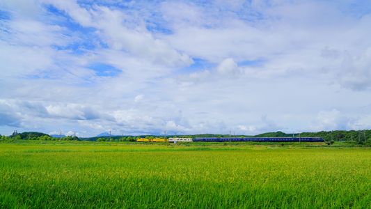 夏ロイヤルexpress