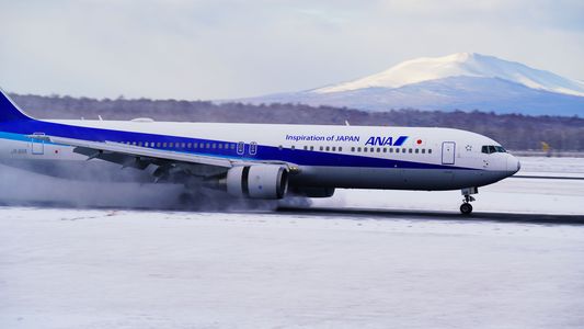 The　ANA（新千歳空港）