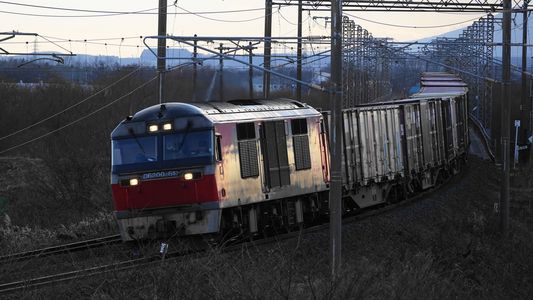 レッドベアDF200