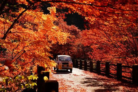 懐かしい車と遭遇