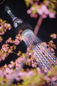 Tokyo-Skytree ～Bloom of Cherry Blossom～