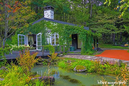 2025富良野風のガーデン