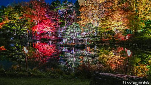 2025中島公園紅葉ライトアップ