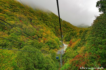 2025苗場ドラゴンドラからの絶景