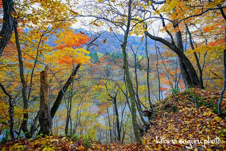 2025竜仙峡紅葉　Ⅴ