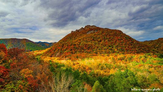 2025定山渓温泉紅葉　Ⅲ