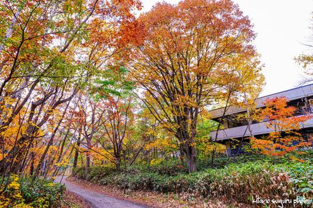 2025定山渓温泉紅葉　Ⅳ