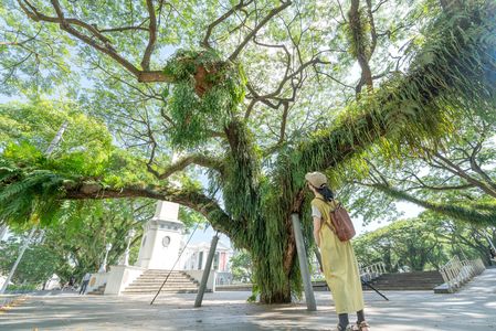 シンガポールの旅 その２