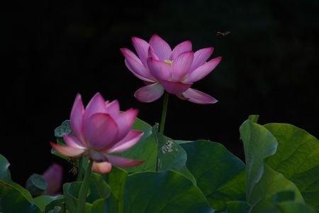 2025年はす日記No2