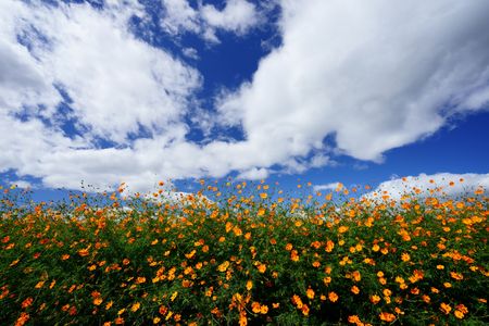 青空をキャンバスに