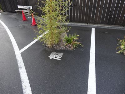 駐車･･･場？