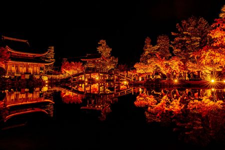 もみじライトアップ