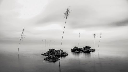 Light Blooms in Hollow Space