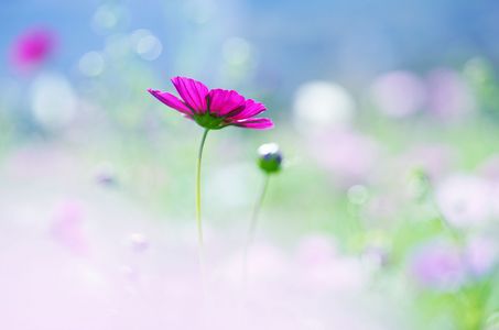 さわやかな気分