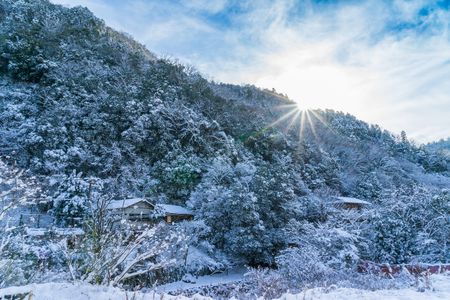 雪の朝