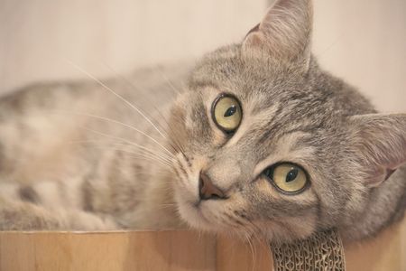 見てる!!。。。