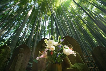プロカメラマンの写真セミナー ～清水徹の「古都鎌倉を巡る」～