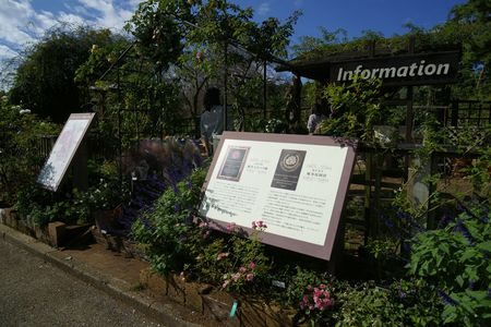 Heritage Rose Garden