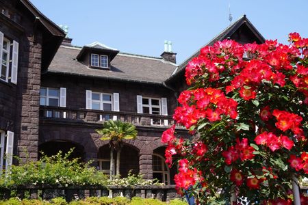 旧古賀庭園#フラワー2025#