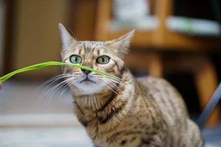 凛として・・・