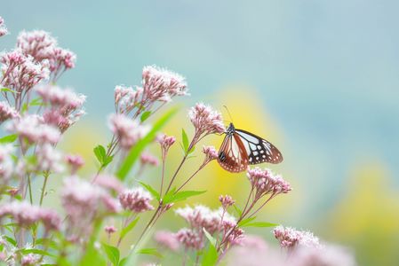 今年も会えました