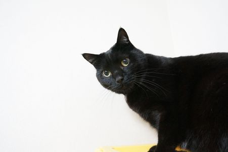 6歳になりました