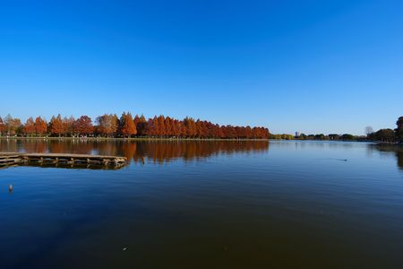 ようやっとの紅葉