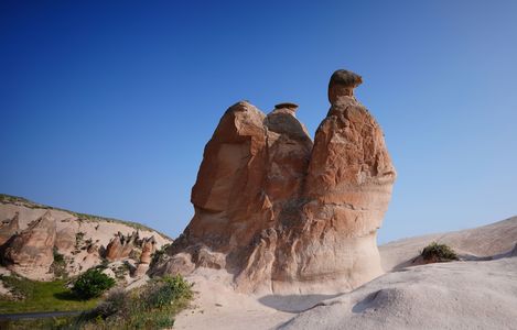 カッパドキアのラクダ達