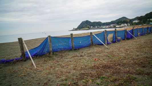 海辺歩き　千葉