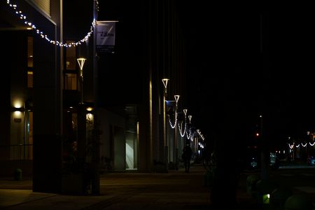 X'mas Comes _ KOMURA- 105mm F3.5 (L39)