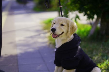 Vakt 3ヶ月と16日 _ FE 85mm F1.8 FE 50mm F1.8