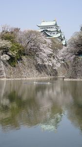 名古屋城の桜に誘われて